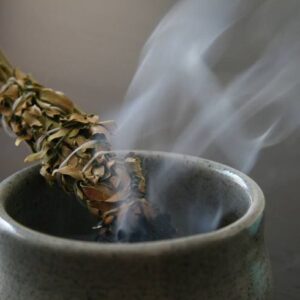 African Sage (Imphepho) (R50 per stick 10 gram stick)
