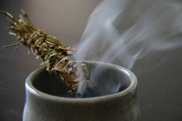 African Sage (Imphepho) (R50 per stick 10 gram stick)