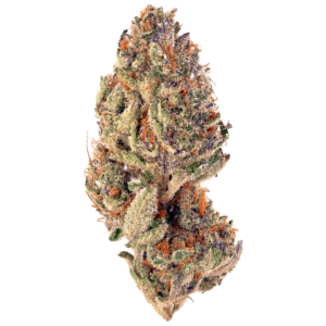 Sorbet Strain (R100 per gram)