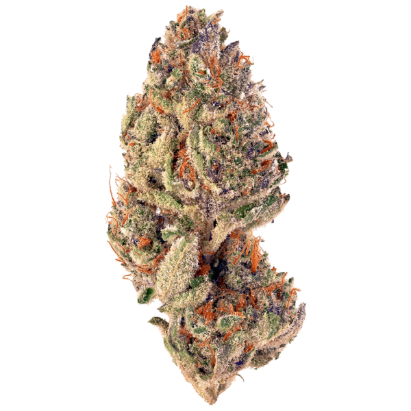 Sorbet Strain (R100 per gram)